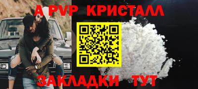 герыч Кингисепп